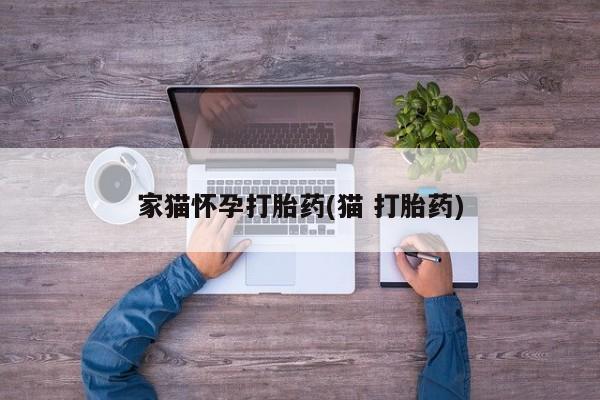 米非司酮片网上购买家猫怀孕打胎药(猫 打胎药)